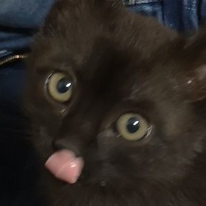 Meet your Posher, Ethan